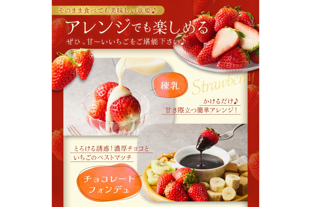 【京丹後産いちご章姫】農園直送便！新鮮大粒いちご 2パック ギフト箱入り／北畿水産　HK00159