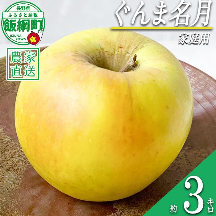 【ふるさと納税】 りんご ぐんま名月 3kg 家庭用 ヤマウラ農園 沖縄県への配送不可 〔 果物 フルーツ 林檎 長野 予約 農家直送 3キロ 14000円 〕【令和8年度収穫分】 発送：2026年11月中旬〜