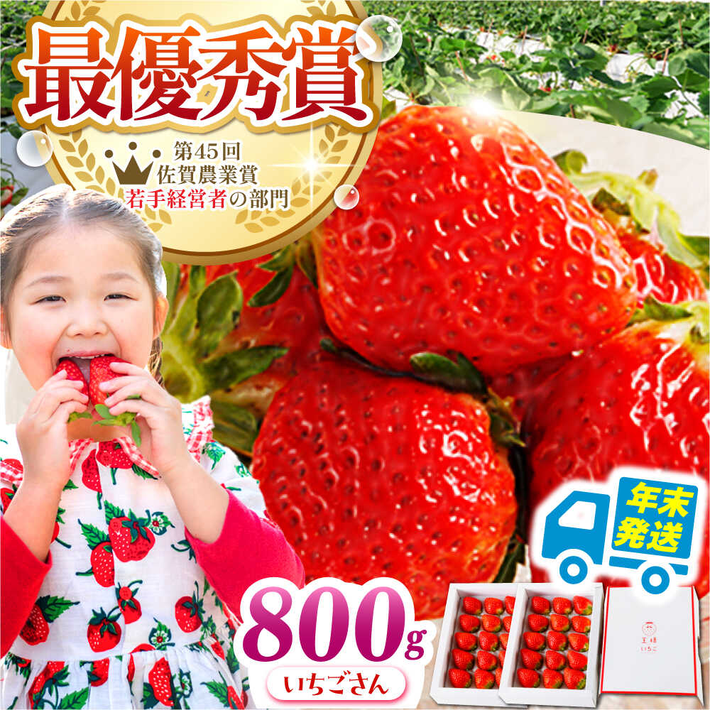 【ふるさと納税】【年末発送】【農薬0への挑戦】王様のいちご いちごさん 800g（400g×2箱） いちご 苺 イチゴ | 佐賀県 江北町 |【むらおか農園】[HAF028]
