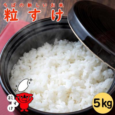 ふるさと納税 銚子市 千葉の新しいお米「粒すけ」精米 5kg