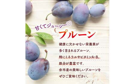【2025年9月上旬以降発送分先行予約】プルーン 400g×4パック 甘くてジューシー 余市産 生プルーン 国産 老化防止 鉄分 スムージー ジャム 冷蔵 小分け パック フルーツ 果物 季節限定 お