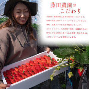 冷凍いちご  2kg 章姫 国産   静岡県 牧之原市 藤田農園