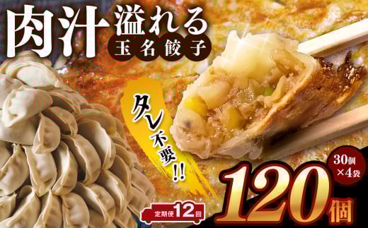 【 定期便 12回 】タレ不要‼ 肉汁 溢れる『 玉名餃子 』 120個 （30個×4袋）| 餃子 ぎょうざ お手軽 小分け 冷凍 冷凍食品 おかず 豚肉