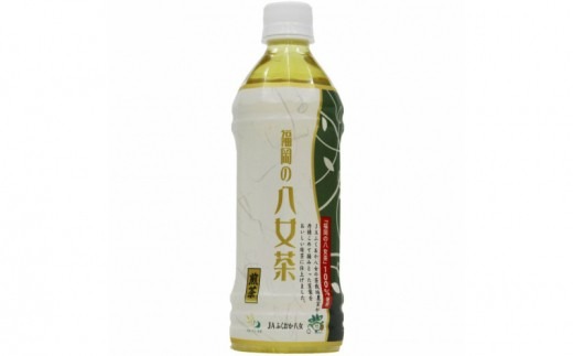 【A5-309】八女茶 煎茶ペットボトル 500ml×24本