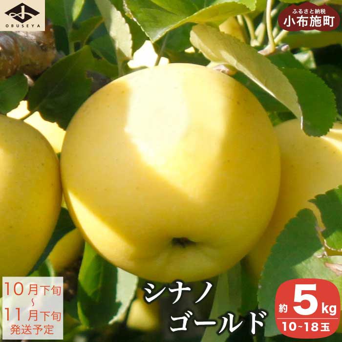 【ふるさと納税】シナノゴールド 約5kg 10～18玉 ［小布施屋］ りんご 林檎 リンゴ 果物 フルーツ 長野県産 信州産 数量限定 先行予約 特産 産地直送 産直 令和8年産 【2026年10月下旬～11月下旬発送】