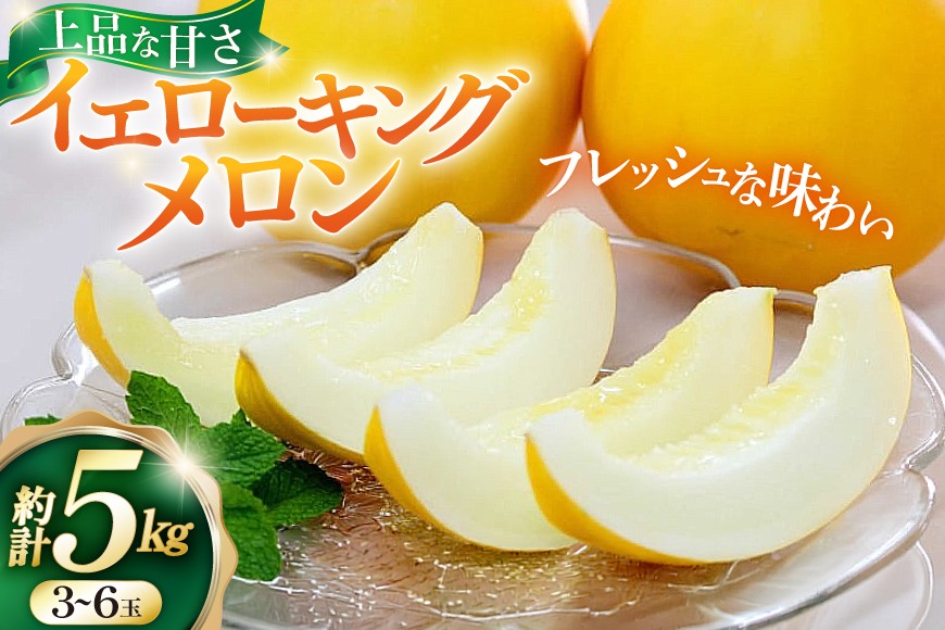 
            【期間限定発送】 メロン 2026 イエローキングメロン 計 5kg 前後 3玉 ~ 6玉 [ひらど新鮮市場 長崎県 平戸市 hr42bgy400029] めろん 甘い 5キロ 果物 フルーツ 産地直送
          