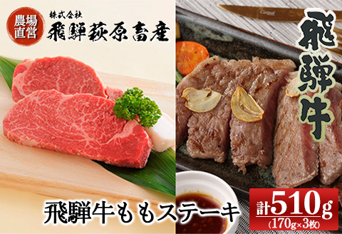 【冷凍】飛騨牛ももステーキ 170g×3枚  牛肉 国産 ブランド牛【22-6】