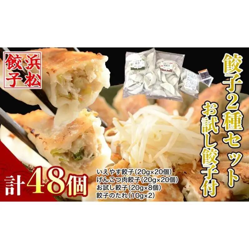 浜松餃子 和風だし 肉餃子 いえやす 2種 48個 食べ比べ 餃子 国産 冷凍 ぎょうざ