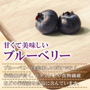 訳あり 冷凍ブルーベリー 約 1kg ブルーベリー