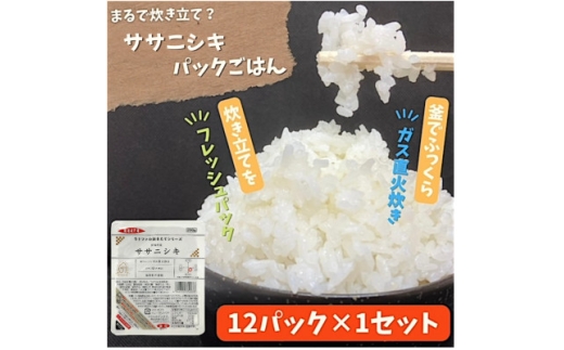 ＜パックご飯＞炊きたてをフレッシュパック　ササニシキ(白米)12個入【1722068】