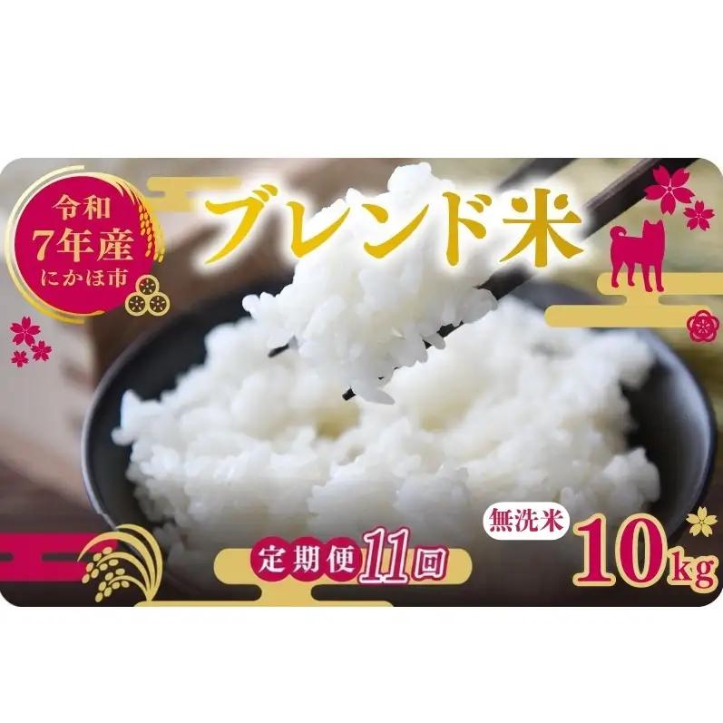 【定期便11か月】無洗米 ブレンド米 10kg  令和7年度産 無洗米