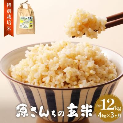 ふるさと納税 玖珠町 令和7年産 原さんちの玄米 4kg 3回定期便 にこまる