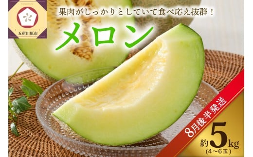 【2026年8月後半発送】メロン5kg程度(緑肉4～6玉)津軽産