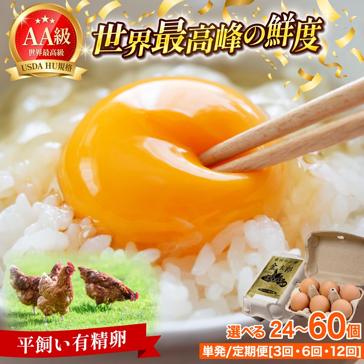【ふるさと納税】＜選べる＞鮮度AA級の世界最高ランク！金太郎卵 平飼い たまご 24個（6個×4パック）