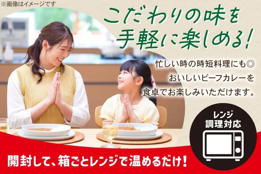カレー レトルト ハウス 選ばれし人気店 濃厚ビーフカレー＆スパイス織りなすビーフカレー 各10個  計20個