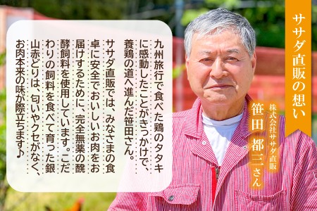 【熟成】銀山赤どり精肉定期便（１羽分×12回お届け）【鶏肉 定期便 地鶏 もも肉 むね肉 1羽分 まるごと 1kg～1.2kg 12回 合計12羽分 定期 鶏 赤鶏 赤どり 熟成 冷凍 真空パック 国