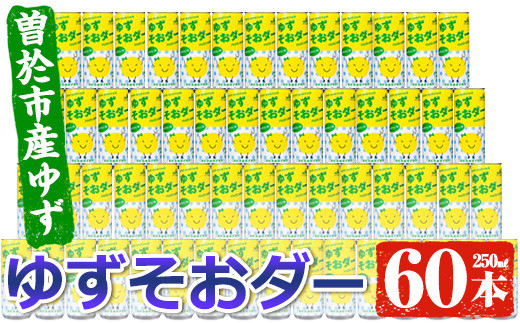 
曽於市産ゆずを使った炭酸飲料！ゆずそおダー(計60本) ソーダ 炭酸 ジュース【ファーマーズマーケットそお太くん市場】A-97
