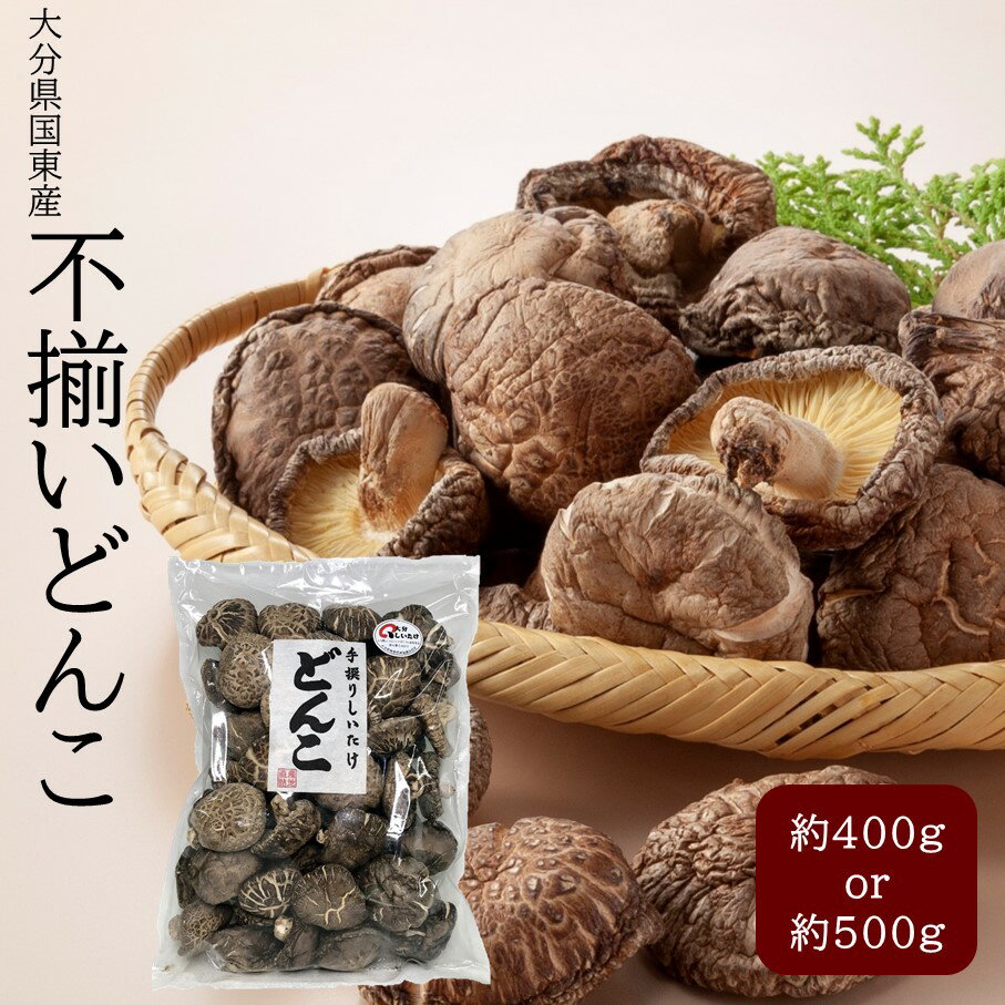 【ふるさと納税】【訳あり】【選べる容量】国東産不揃いしいたけ 約400g 約500g どんこ 国産 肉厚 国東産 九州 乾燥椎茸 乾し椎茸 原木 原木椎茸 食材 お取り寄せ グルメ 大分県 送料無料