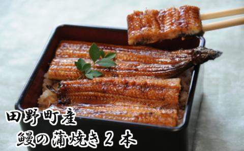 田野町産うなぎの蒲焼き2本