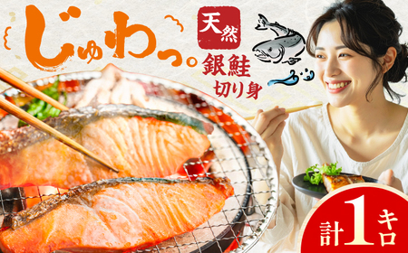 銀鮭 切り身　1kg　広川町 / 株式会社イールファクトリー[AFBS025]