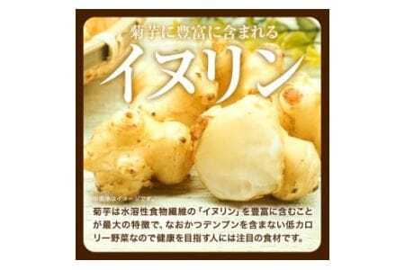 菊芋セット つるぎ菊芋栽培加工研究会