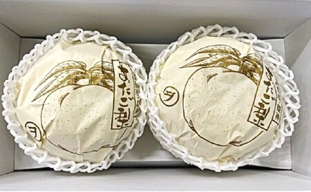 梨 2026年 先行予約 あたご梨 2玉 青秀以上 (約1.4kg) 化粧箱入り 梨