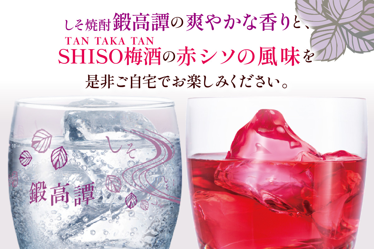 鍛高譚(たんたかたん)・鍛高譚の梅酒[1800ml]【4本セット】