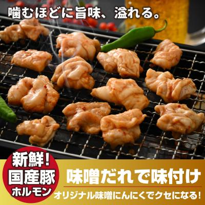 ふるさと納税 大野市 大美のとんちゃん(白)豚ホルモン シロ 味噌ダレ 1.5kg(500g×3パック) |  | 01