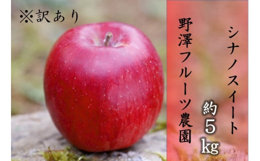 387 先行予約 ※訳あり りんご シナノスイート ５㎏ 【野澤フルーツ農園】10月中旬以降発送