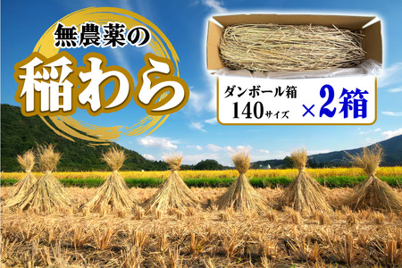 [先行予約] 稲わら・無農薬 2箱 [JAS有機認定又は転換中 日光ダイヤ舞の藁] 令和7年度｜2025年度 有機栽培稲わら 無農薬 オーガニック 国産 産地直送 わら納豆づくり しめ縄づくり 正月飾