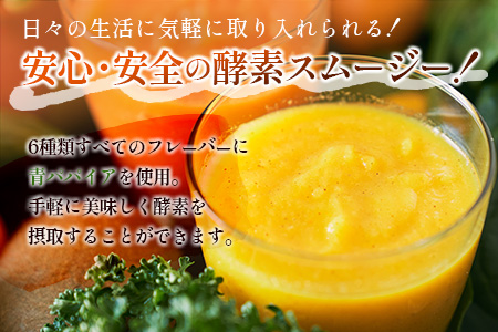 「定期便6か月コース」南国酵素スムージー　200ml×12本セット×6回　 野菜・果実ミックスジュース　青パパイア　果物　フルーツ　飲料　健康　栄養【F109】