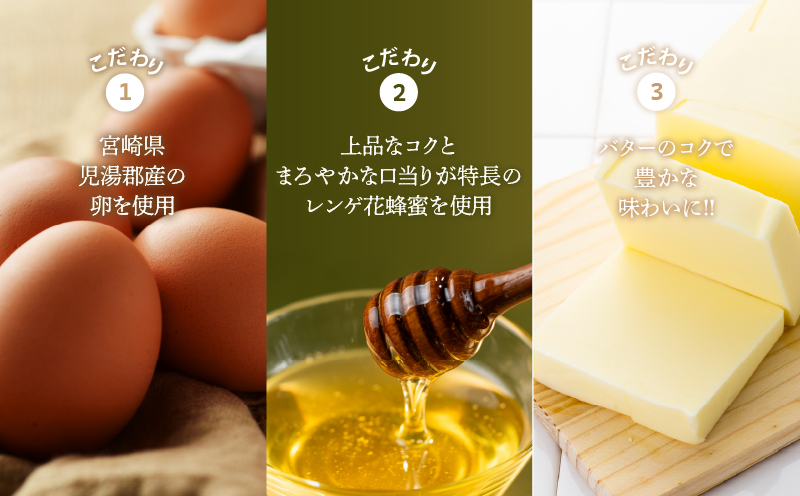 老舗菓子舗のマドレーヌ計10個 焼き菓子 スイーツ 詰め合わせ 洋菓子_T035-002