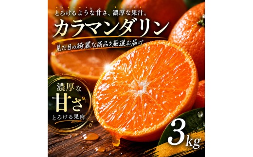 【選び抜いた一箱】 ギュッと濃い甘さ 【カラマンダリン】 3kg 愛媛県産 【2027年4月上旬頃から順次発送】 | みかん 蜜柑 mikan 柑橘 果物 愛媛のみかん くだもの 贈答 フルーツ ご家庭用 数量限定 愛媛県産 ミカン 愛媛県 松山市