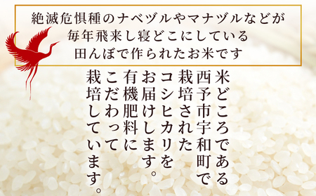 新米 ＜令和7年産 コシヒカリ「つるの寝どこまい」約5kg 西予市宇和町産＞ 2025年産 こしひかり お米 コメ こめ 白米 精米 ご飯 ごはん 穀物 ライス SDGs 共生 楠 健明 愛媛県 西予