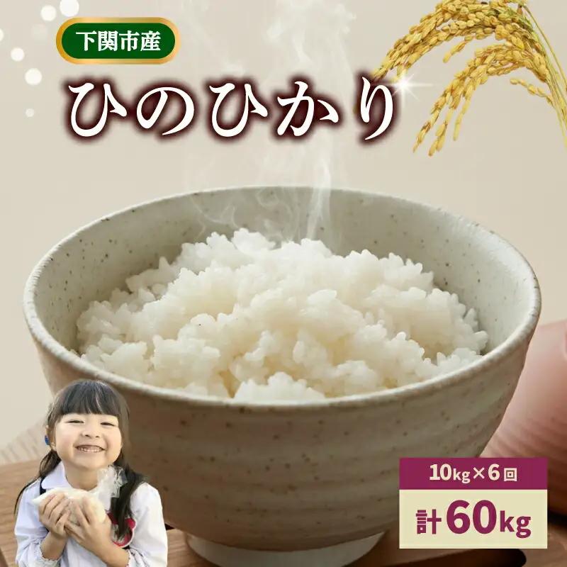 【定期便 6ヶ月】令和7年産 米 ひのひかり 10kg 下関 山口 LO002-B