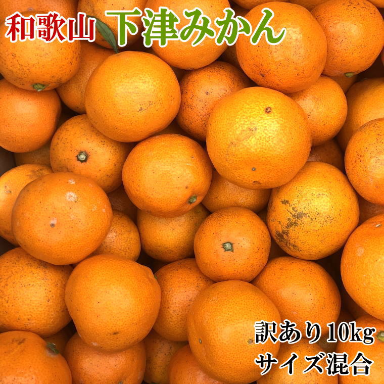 【ふるさと納税】 【訳あり】和歌山下津みかん 約10kg ご家庭用向け (サイズ混合) ※2025年11月中旬～2026年1月中旬頃に順次発送(お届け日指定不可)