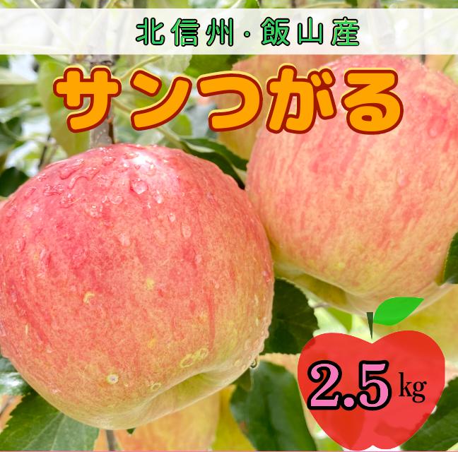 【先行予約】サンつがる【約2.5kg(6から9玉)】(7-A19-1)