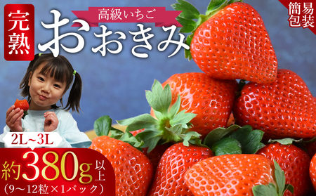 ＜高級いちご 「おおきみ」（9～12粒×1パック約380g以上）簡易包装＞2025年1月上旬から4月末迄に順次出荷【 いちご イチゴ 苺 先行予約 甘い 大きい 果物 フルーツ 季節物 】【b0856