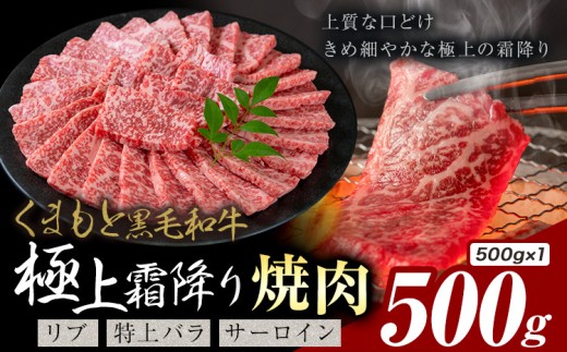 黒毛和牛 極上霜降り リブ サーロイン 特上バラ 焼肉 500g《30日以内に出荷予定(土日祝除く)》熊本県 氷川町 牛 牛肉 和牛 ブランド牛