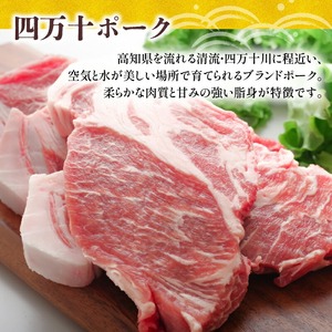 ハンバーグ 四万十ポーク 入り 2.4kg 200g 12個入 6ヶ月 定期便 化学調味料 不使用 ﾊﾝﾊﾞｰｸﾞ 保存料 無添加 ﾊﾝﾊﾞｰｸﾞ 高知県 須崎市 ﾊﾝﾊﾞｰｸﾞ 合挽き ﾊﾝﾊﾞｰｸ