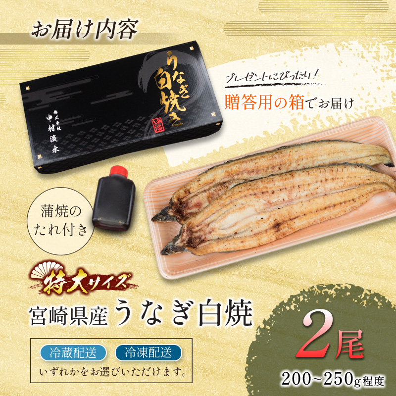 お歳暮対応「玄人の一品」うなぎ 白焼き ギフト 2尾（200～250g/1尾あたり) 宮崎県産鰻 蒲焼きタレ付（50ml×1本）配送日指定可 国産 有頭 熨斗 贈答品【N38】_イメージ4