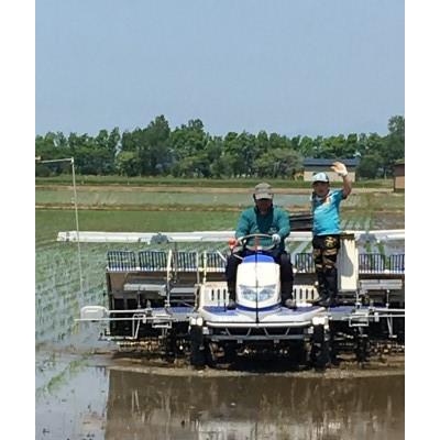 ふるさと納税 大潟村 【発送月固定定期便】1月、4月、7月　特別栽培米サキホコレ5kg全3回 |  | 03