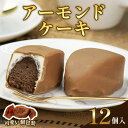 【ふるさと納税】アーモンドケーキ｜焼菓子 お茶菓子 銘菓 ケーキ 洋菓子 おやつ スポンジ スイーツ チョコレート ギフト こまつや [0228]