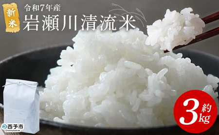 ＜令和7年産 新米 岩瀬川清流米 コシヒカリ 3kg＞ 3キロ こしひかり お米 コメ こめ 白米 精米 ご飯 穀物 鮮度 特産品 愛媛県産 西予市産 宇和町産 OTSUKAFARM 愛媛県 西予市 【常温】『2025年9月下旬から順次出荷予定』UOF0001