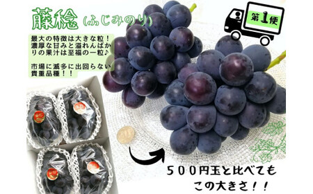 【産地直送】 ※2026年の予約です！※ 岡山 シャインマスカット ＆ マイハート 入り！新鮮 ぶどう 定期便 ×４回コース【2026年9月下旬～】離島不可 / 葡萄 ブドウ 果物 フルーツ マスカッ