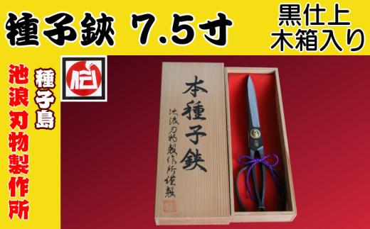 種子島 伝統工芸 種子鋏 (たねばさみ) 7.5寸 黒仕上 木箱入　NFN195【1700pt】 // 伝統手法 贈り物 木箱入りの贈答品 全長＝約22.5ｃｍ 鹿児島県指定 伝統的工芸品