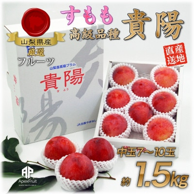 
すもも『中玉貴陽』約1.5kg(7～10玉)【1395560】
