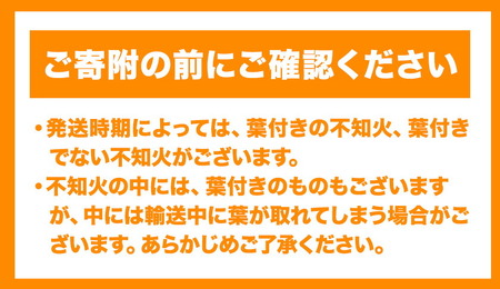 超完熟しらぬい 3kg 不知火 しらぬい