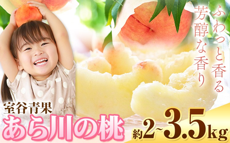 
            【予約受付】選べる あら川の桃 約2kg 約2.8kg 約3.5kg 室谷青果《2026年6月下旬-7月中旬頃出荷》和歌山県 紀の川市
          