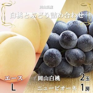 【先行受付】岡山県産　岡山白桃エースLサイズ200g×2玉・ニューピオーネ400g×1房　詰合せ【配送不可地域：離島・北海道・沖縄県】【1309151】